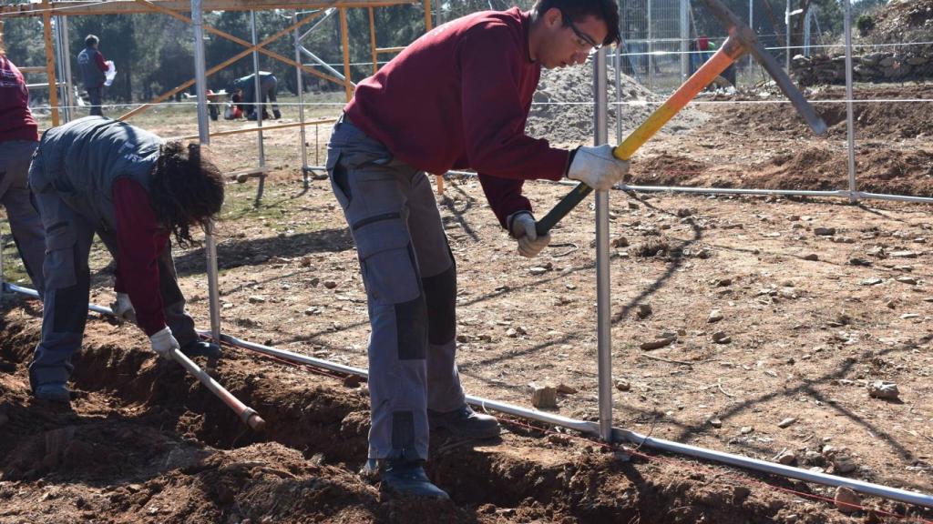 vivero guijuelo 5