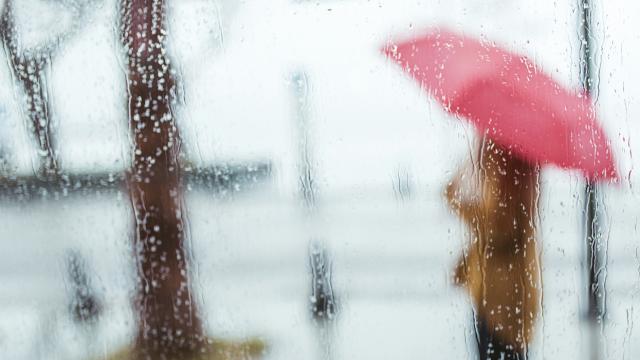 Planes para un fin de semana de lluvia.