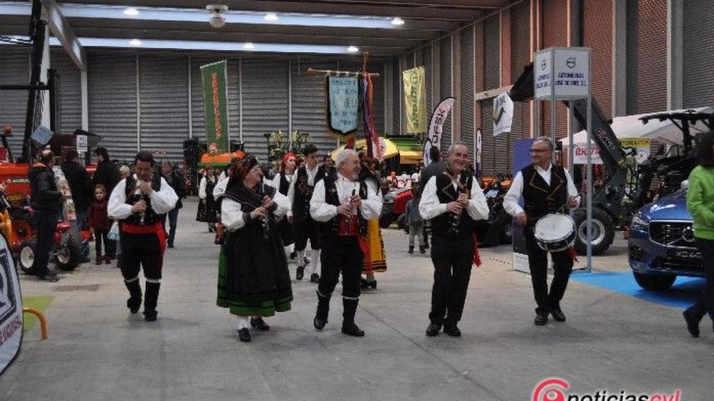 zamora diputacion feria raices 39