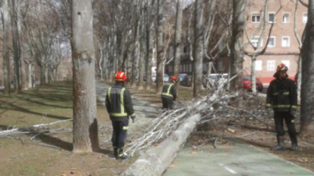 Valladolid-bomberos-actuaciones-temporal-viento