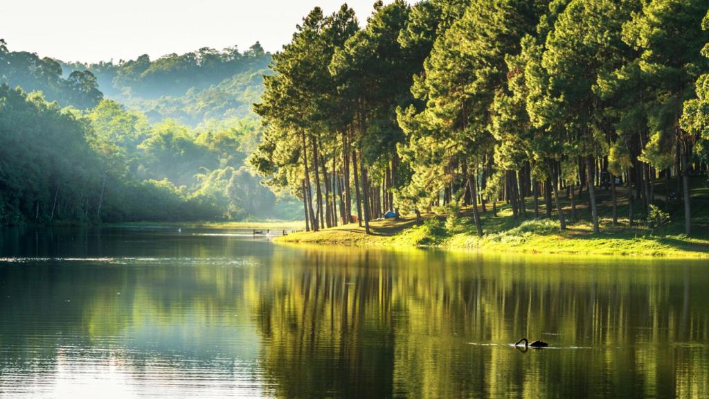 Coca-Cola ha devuelto a la naturaleza 3.000 millones de litros de agua.