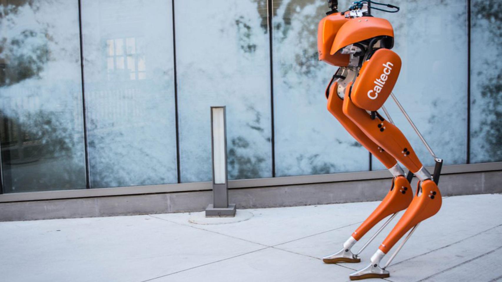 El robot bípedo en el que está trabajando el laboratorio Caltech dirigido por Aaron James. / CALTECH - NASA