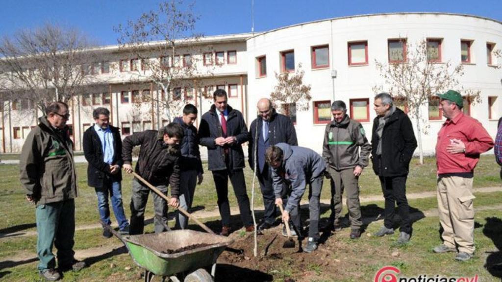 zamora junta dia arbol (5)