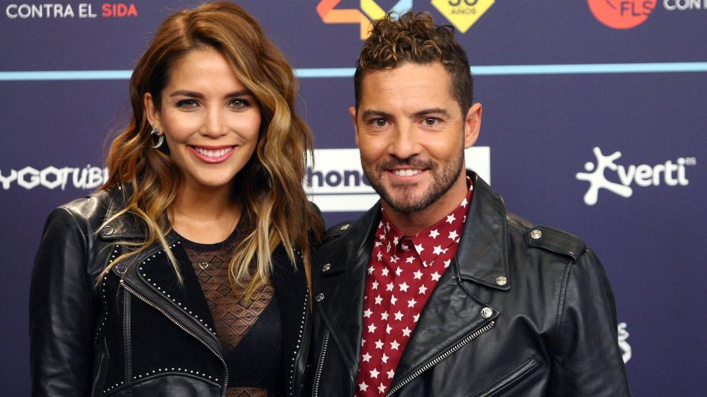 David Bisbal y Rosanna Zanetti.