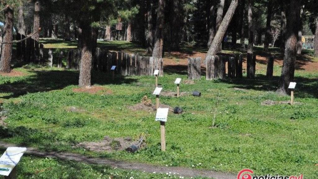 zamora aquona valorio reforesta 09