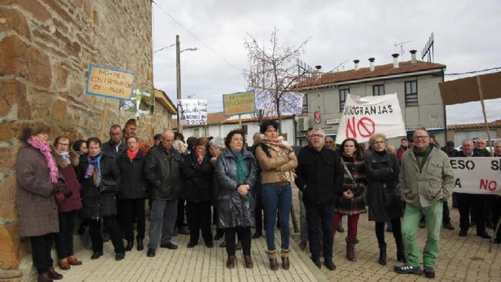 Zamora psoe concentracion macrogranjas porcino 3