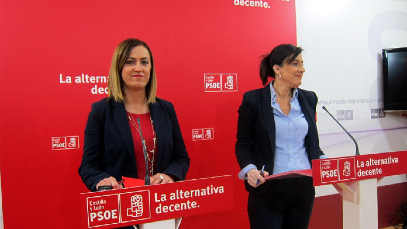 zamora psoe ana sanchez y barcones