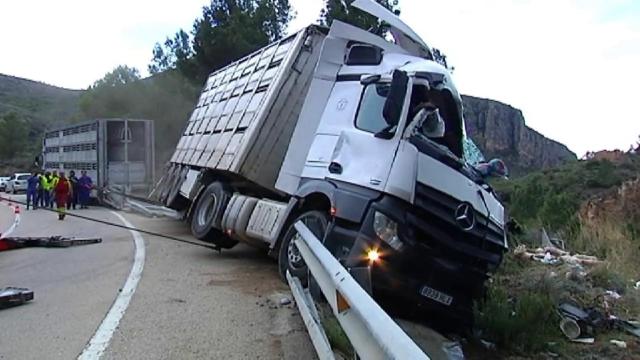 El camión que llevaba a los cerdos volcó en una curva.