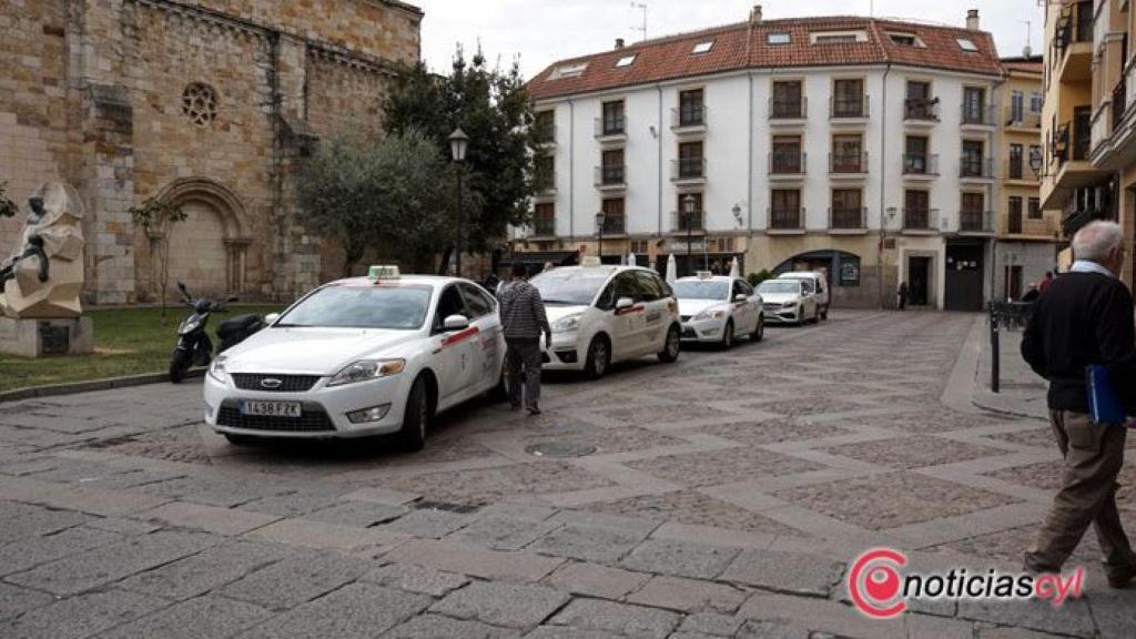 zamora taxis plaza mayor