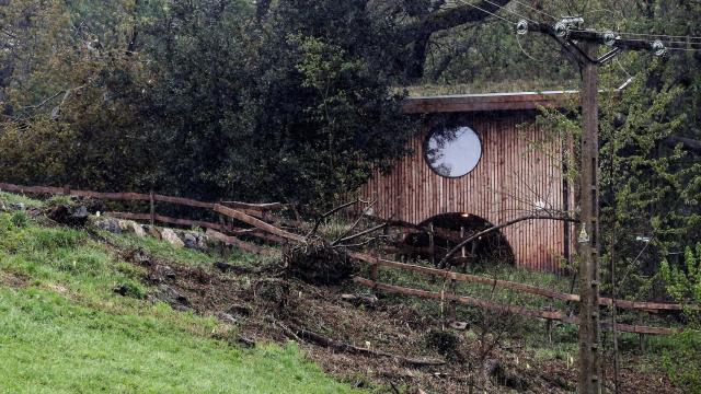 El niño de 5 años que ha resultado herido grave en San Sebastián ha quedado atrapado por un árbol de unos 15 metros que ha caído dentro del parque educativo medioambiental Ekogune.