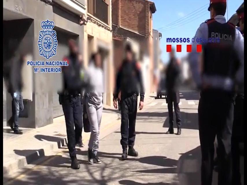 Se han practicado 46 detenciones por toda la península y Canarias