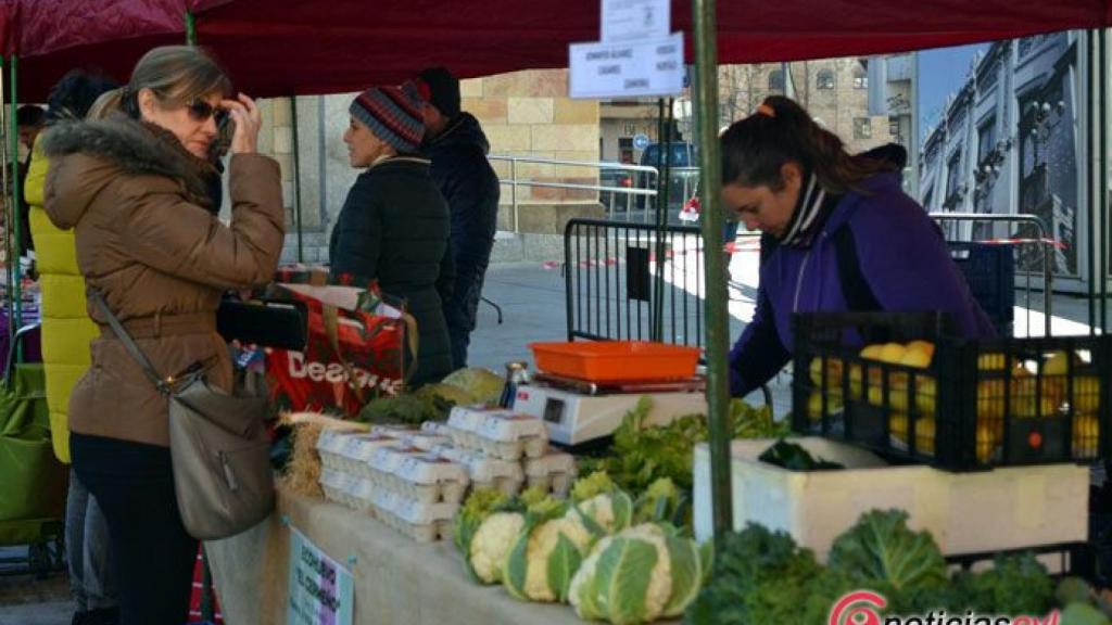 zamora mercado ecologico (5)