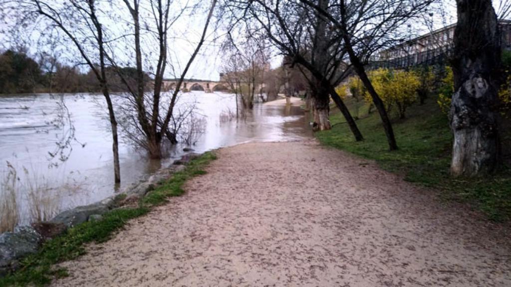 zamora paseos duero inundacion upl (1)
