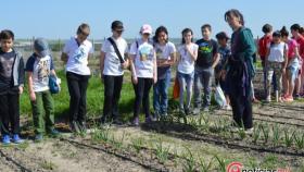 cigales huerto ecologico valladolid 1