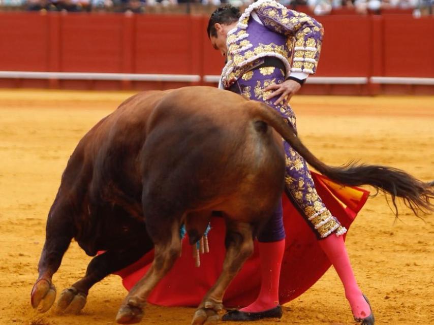 Derechazo de Manzanares al enclasado 'Manzanilla'