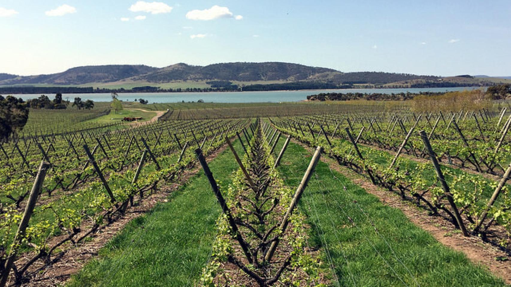 Riverdsdale State Tasmania