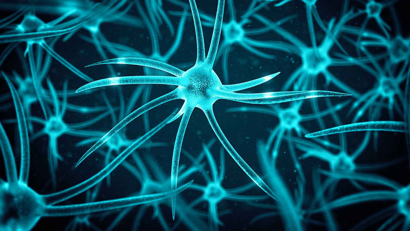 Los neuroestimuladores envían señales eléctricas controladas a áreas específicas del cerebro del paciente para aliviar el dolor crónico.