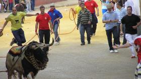 Imagen de la fiesta de toros 'ensogaos' de Beas de Segura (Jaén).