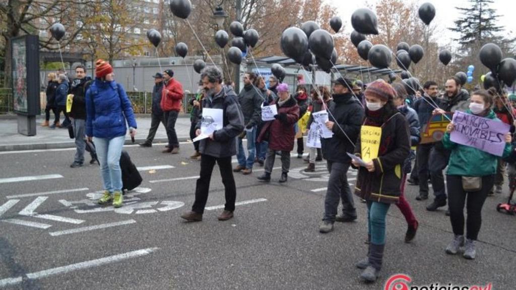 marcha ecologistas accion valladolid trafico contaminacion 9