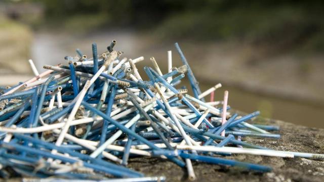 Bastoncillos recuperados del río Avon a la altura de Bristol.