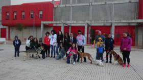 perros villares 5