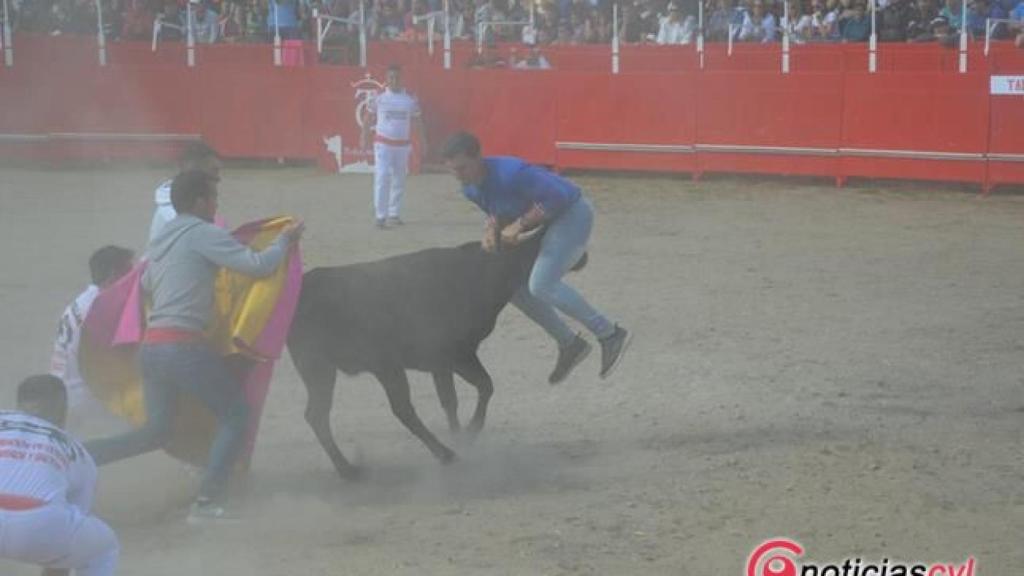 Vaquillas en Villamayor (25)