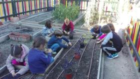 El colegio la Navata cuenta con notables instalaciones, entre ellas huerto escolar o anfiteatro al aire libre