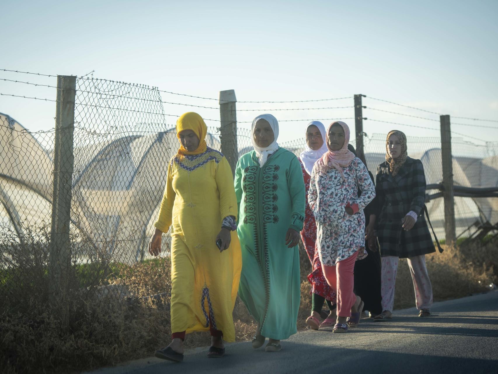 De jornaleras a esclavas sexuales en los campos de fresas de Huelva: la  verdad oculta