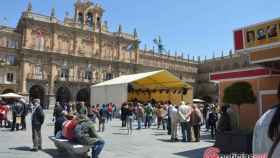Feria del libro Salamanca (19)