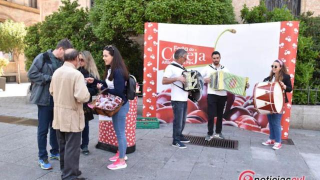 cereza alfandega salamanca 2018 (5)