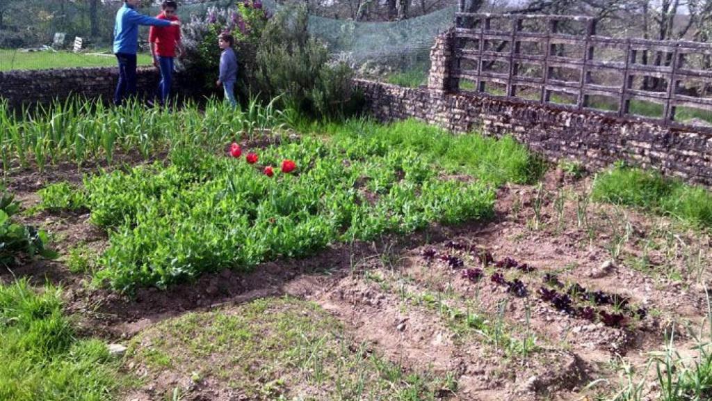 zamora diputacion huertos escolares (2)