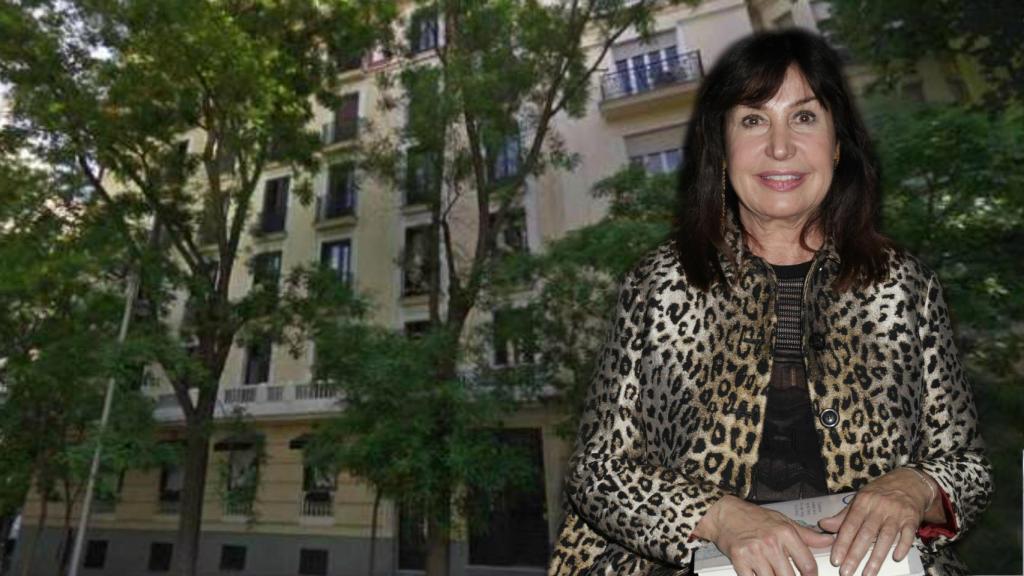 Carmen Martínez Bordiú frente a la fachada del edificio en un fotomontaje de Jaleos.