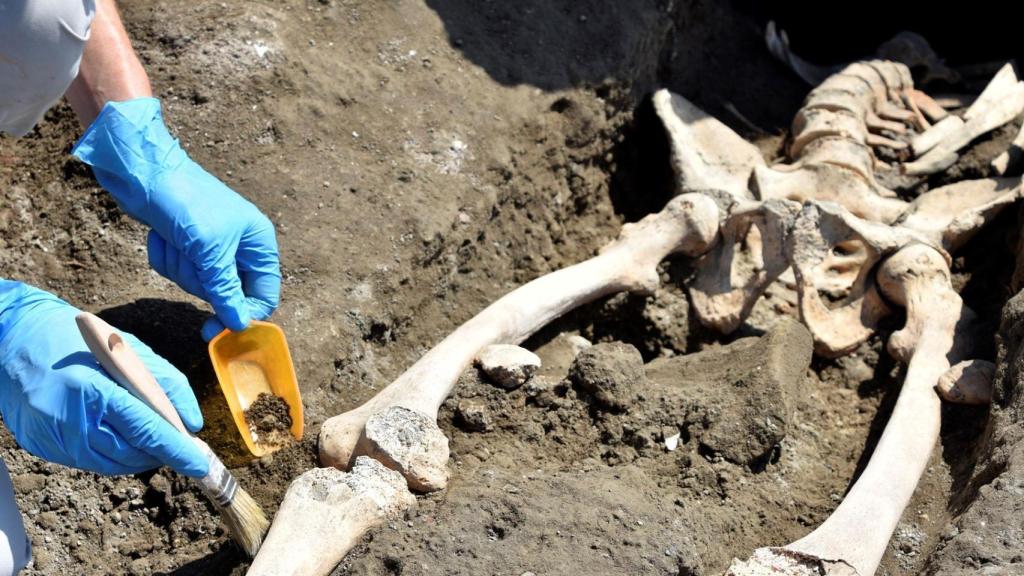 DESCUBREN EN POMPEYA ESQUELETO DE HOMBRE VÍCTIMA DE LA FURIA DE LA ERUPCIÓN