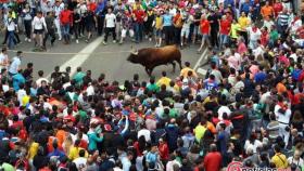 zamora-benavente-toro-enmar