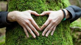 Heart hand on tree with moss, loving the nature