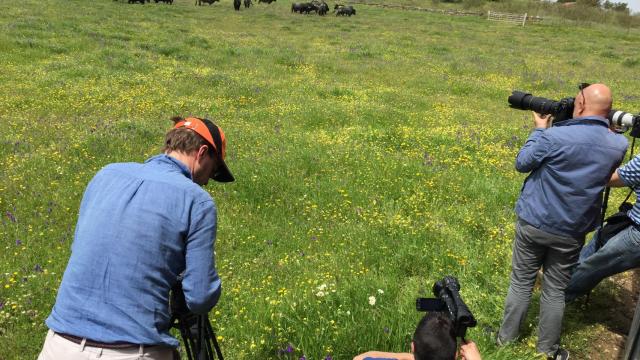 Algunos corresponsales internacionales fotografían y graban vídeo en la finca de Victorino