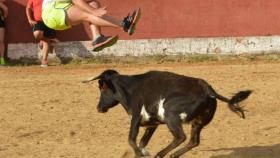 capea fiestas 2017 TOPAS (17)