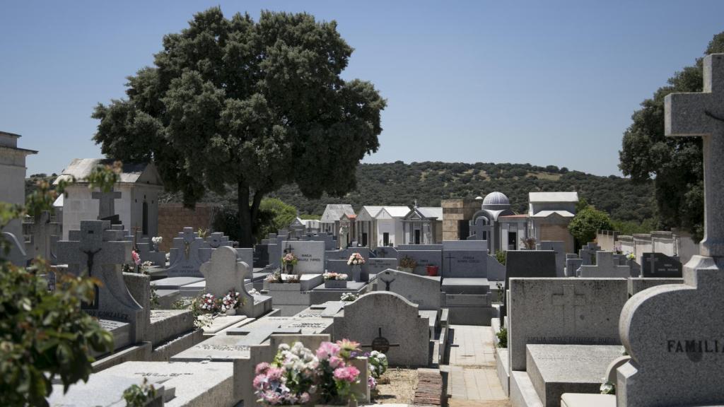 Vista general del cementerio de El Pardo.