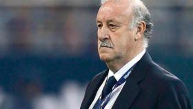 Del Bosque. Foto rfef.es