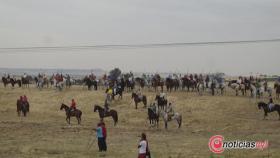 Zamora-encierro-guarrate-toros-cogida-025