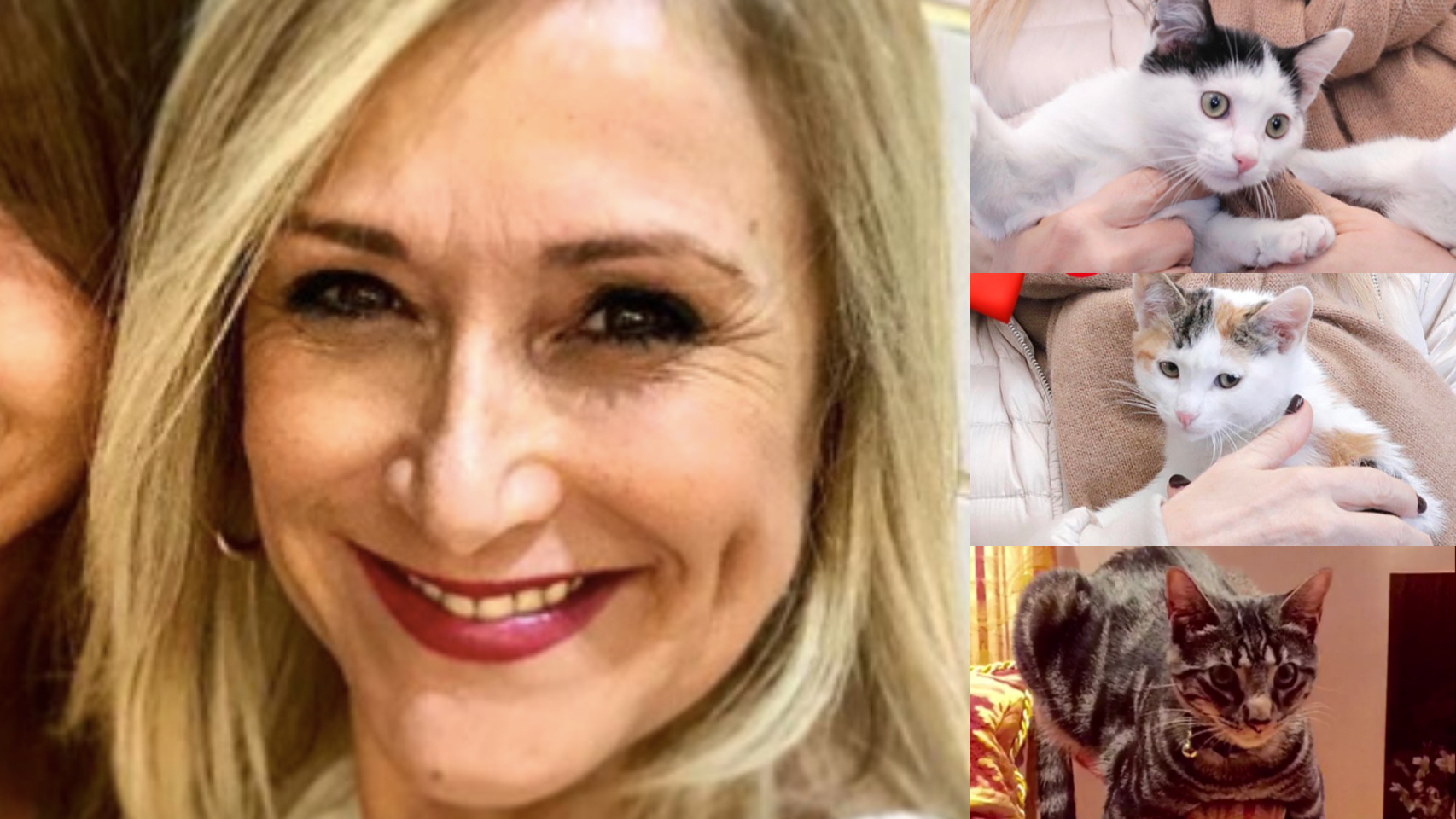 Cristina Cifuentes con el nuevo look y sus gatitos.