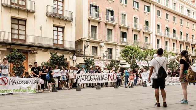 FOTO: Plataforma 'Salvemos Meca y Comarca'