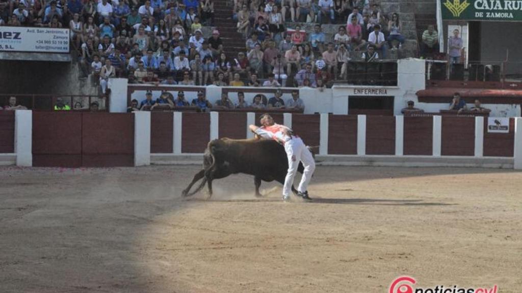 Castilla y León