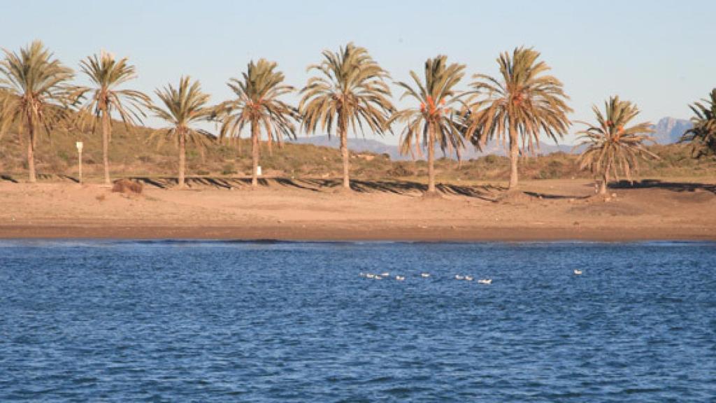 Playa de percheles.