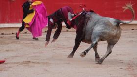 Castilla y León