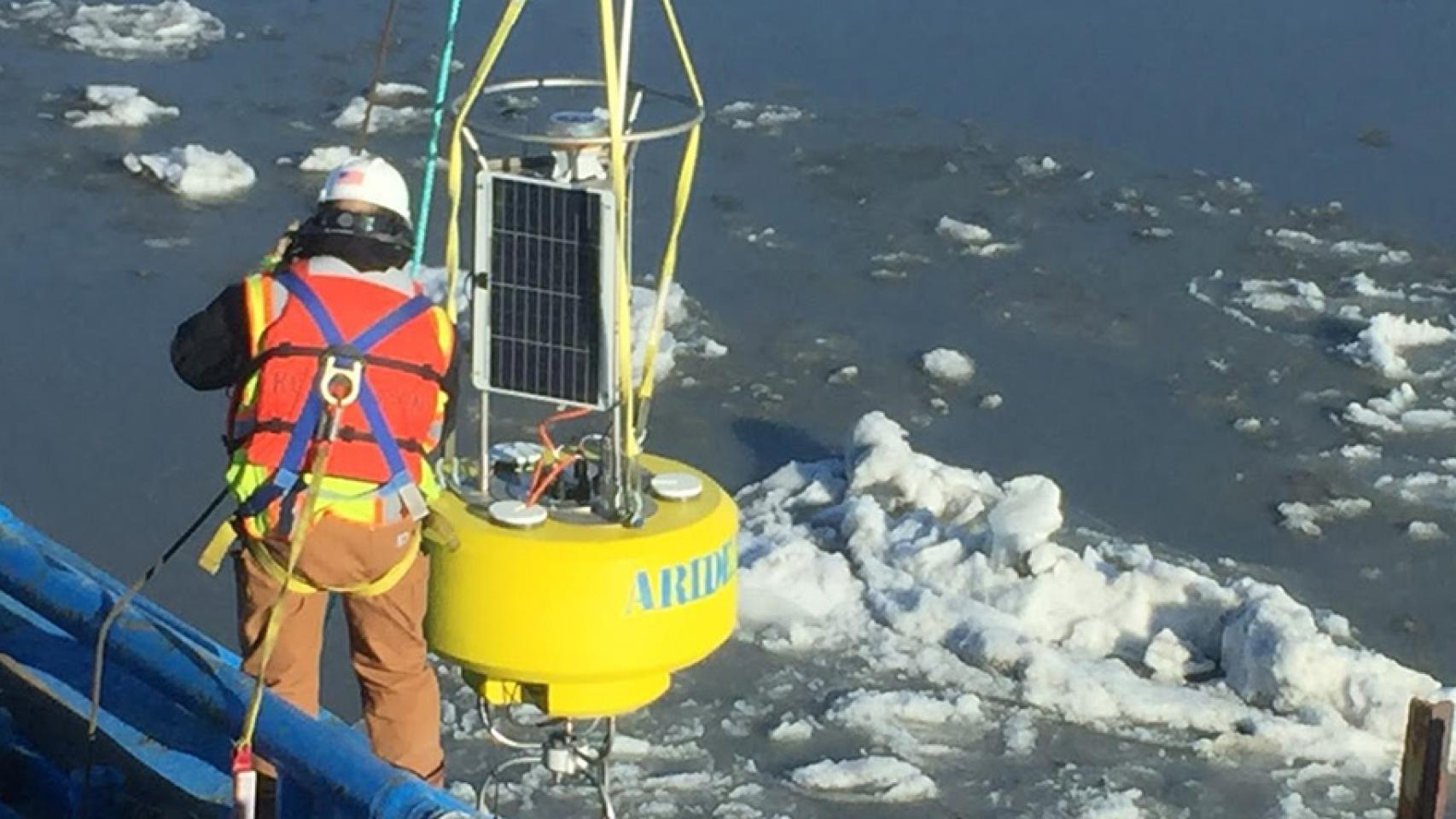 Sensores 'made in Spain' para salvar a las belugas de Alaska