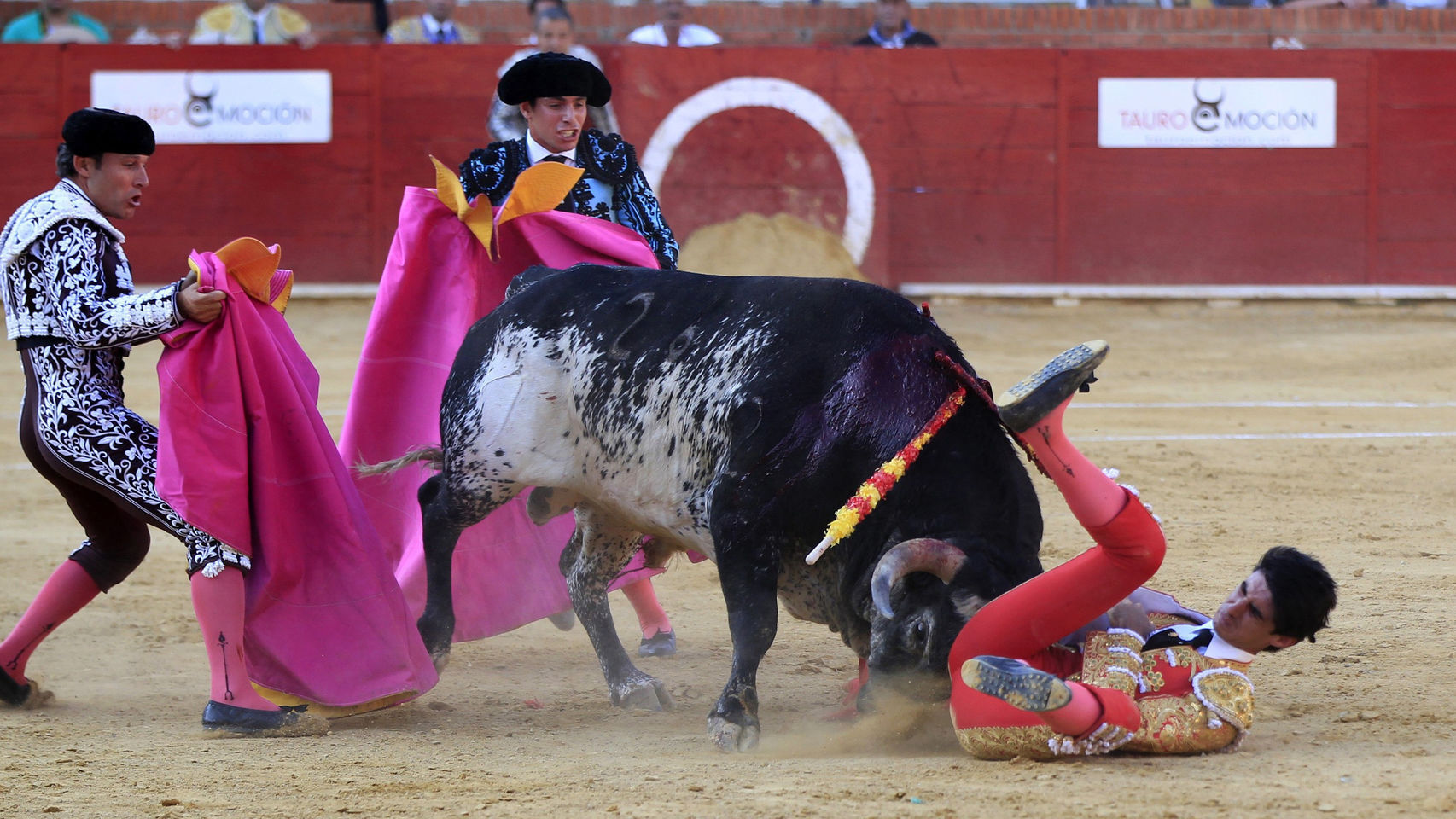 Los toros, la mancha negra en el currículum de la nueva Telemadrid