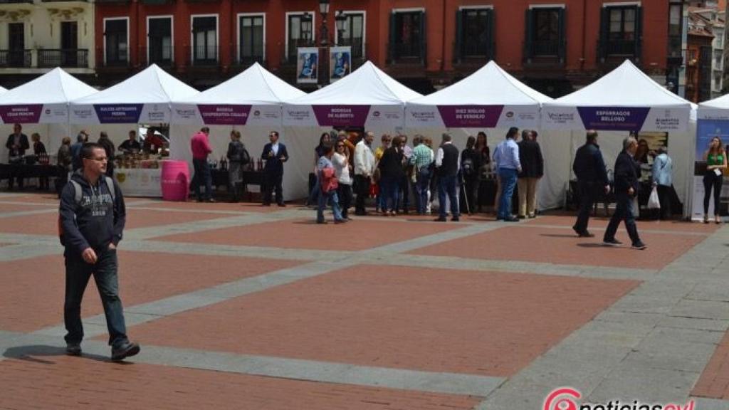 valladolid plaza mayor vino 5