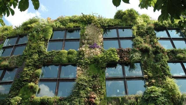 Jardín vertical en el Museo del muelle Branly