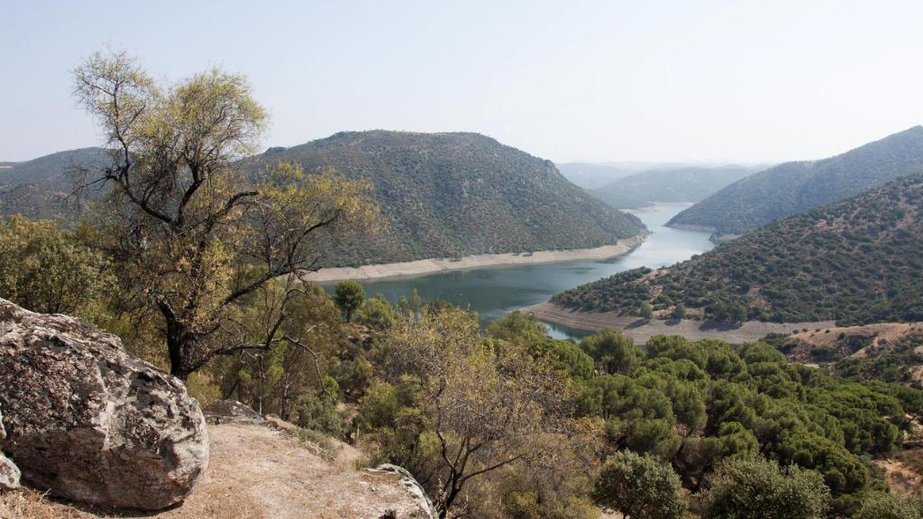 Vistas áereas del Encinarejo